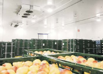 Servicios de Refrigeración