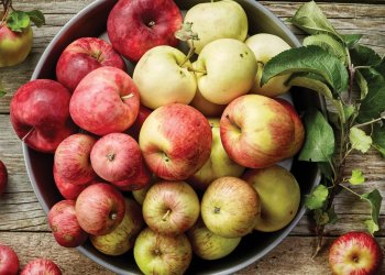 Variedad de Manzanas